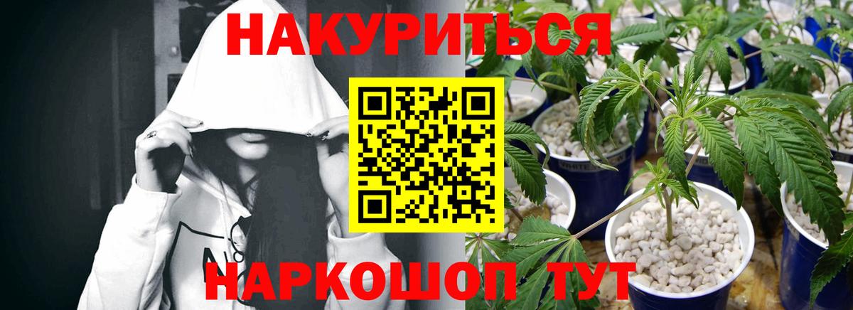 Шишки марихуана семена  Каннабис планчик  Губаха  Шишки марихуана план  Шишки марихуана MAZAR  Вход с VPN 